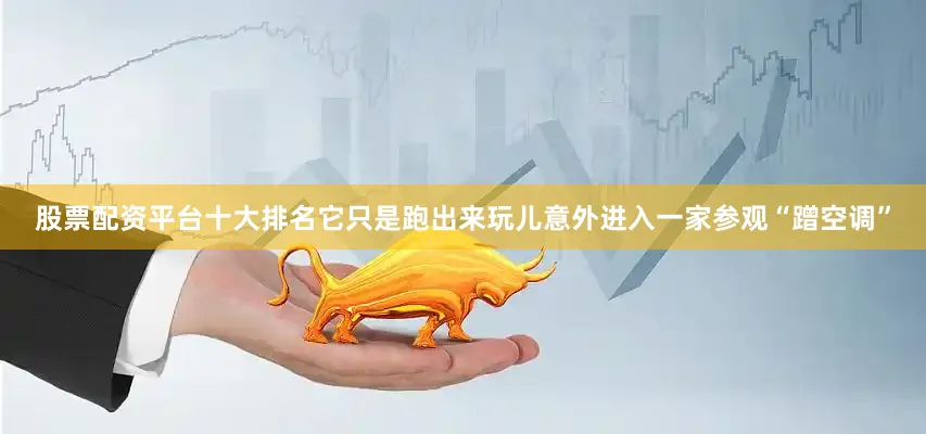 股票配资平台十大排名它只是跑出来玩儿意外进入一家参观“蹭空调”