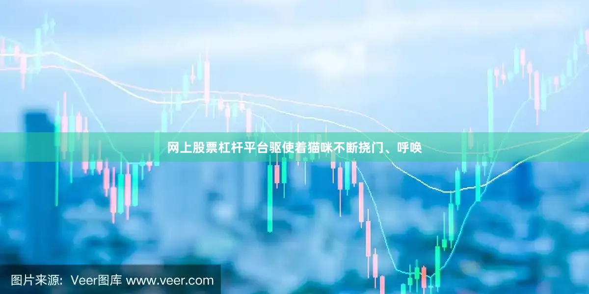 网上股票杠杆平台驱使着猫咪不断挠门、呼唤
