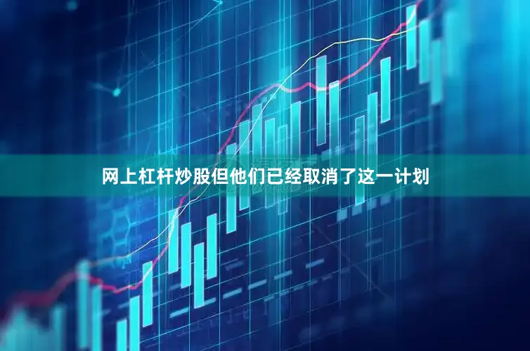 网上杠杆炒股但他们已经取消了这一计划