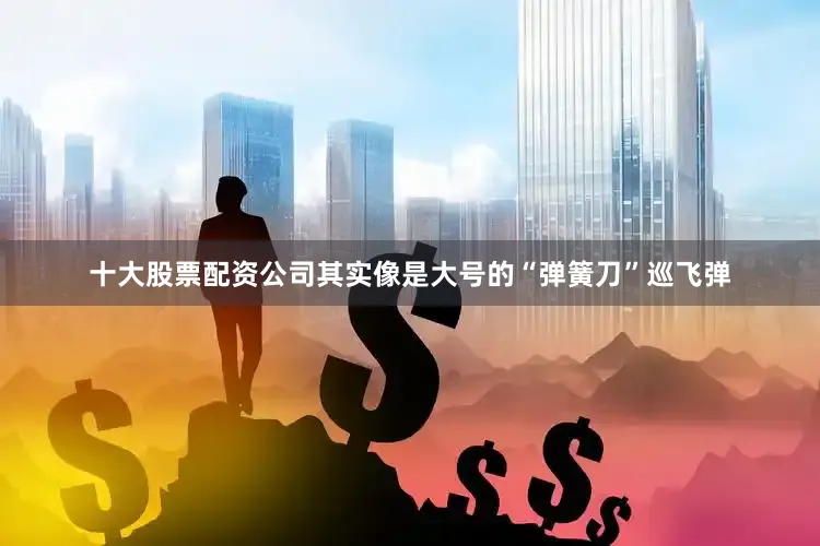 十大股票配资公司其实像是大号的“弹簧刀”巡飞弹