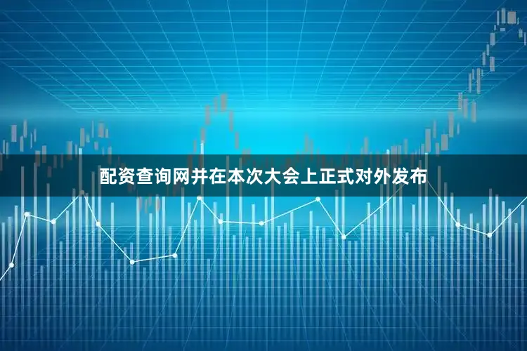 配资查询网并在本次大会上正式对外发布